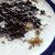 Resep Bubur Kacang Ijo Ketan Hitam