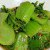 Resep Membuat Tumis Sawi Sendok Enak