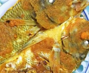 Resep Olahan Ikan Kakap Putih