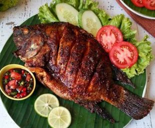 Resep Olahan Ikan Kakap Merah