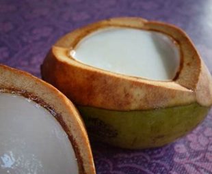 Puding Kelapa Muda
