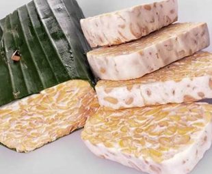Resep Olahan Tempe dan Telur