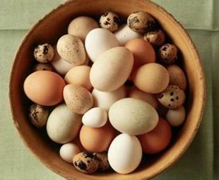 Resep Telur Rebus: Tips dan Trik untuk Membuat Telur Rebus yang Sempurna