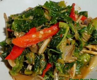Resep Olahan Daun Pepaya: Nikmati Khasiatnya untuk Kesehatanmu