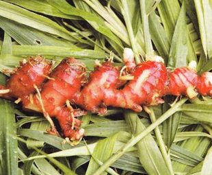 Resep Jahe Merah