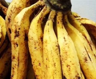 Pisang Nangka