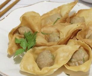 Bakso Kulit Pangsit Goreng