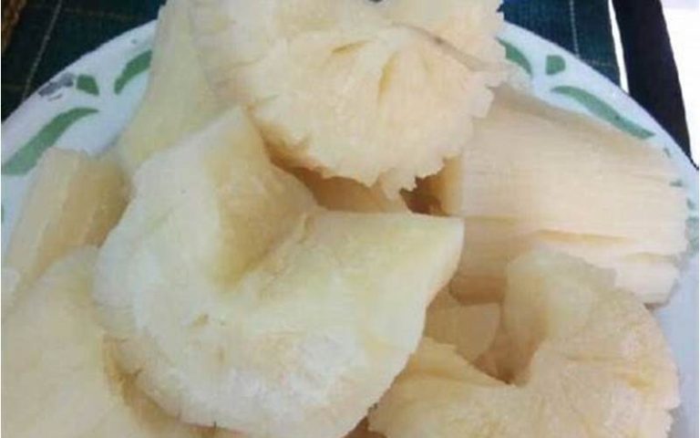 Resep Olahan Singkong Rebus