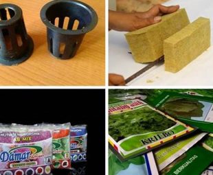 Resep Olahan Bandeng Pedas yang Menggugah Selera