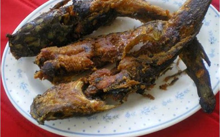 Resep Olahan Ikan Lele
