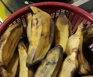Variasi Pisang Kepok Rebus