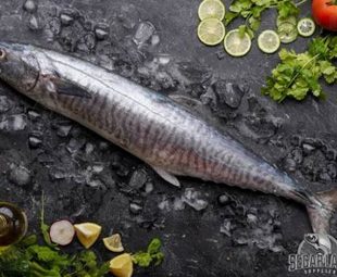 Resep Olahan Otak Otak