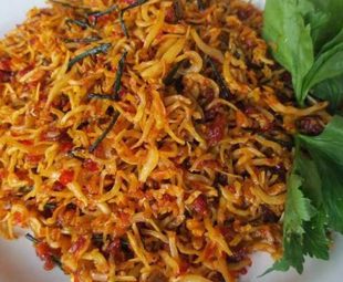 Teri Medan