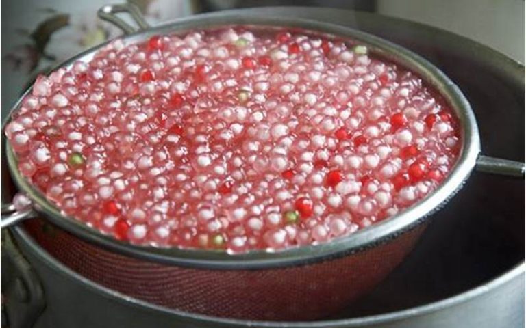 Resep Olahan Sagu Mutiara: Cara Mudah Membuat Sagu Mutiara yang Empuk dan Enak