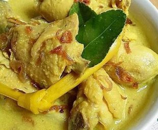 Tips Memasak Opor
