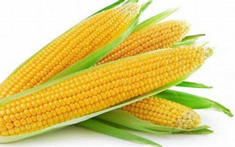 Resep Olahan Jagung Manis untuk Camilan