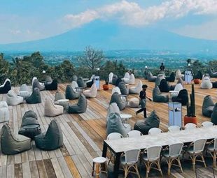 Temukan Harga Puding Puyo di Mall dan Nikmati Kelezatannya