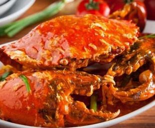 Foto Hidangan Seafood Surabaya