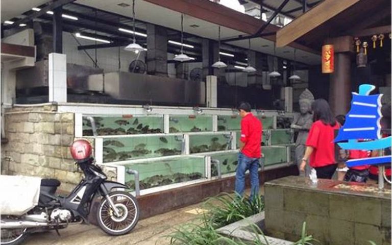 Rumah Makan Layar Surabaya: Menikmati Kuliner Lezat di Tengah Laut