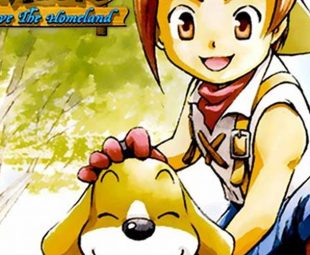 Gambar Harvest Moon Save The Homeland