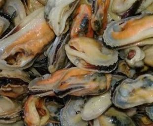 Gambar Kerang Hijau Kupas