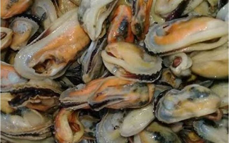 Resep Masak Kerang Hijau Kupas