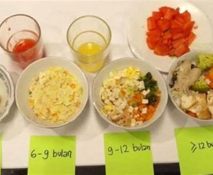 Gambar Mpasi 8 Bulan Simple