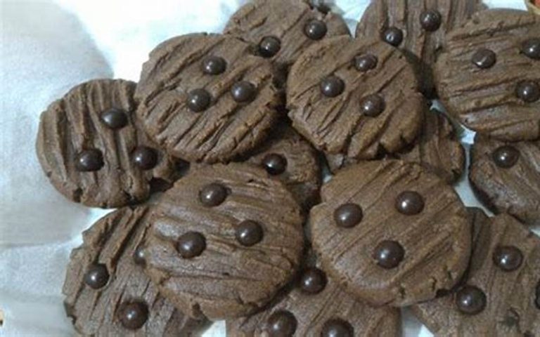 Resep Kue Choco Chip 500 Gram