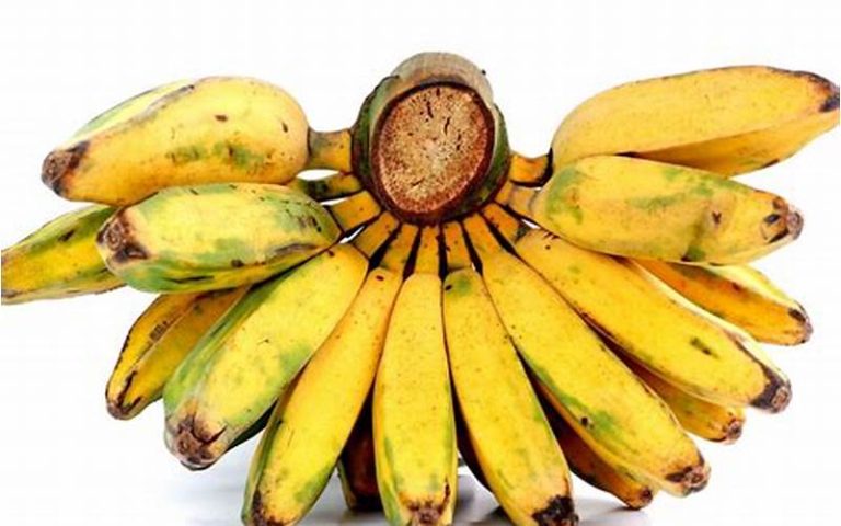 resep olahan pisang kepok kekinian
