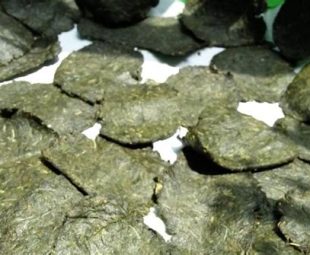 Resep Dendeng Daun Singkong