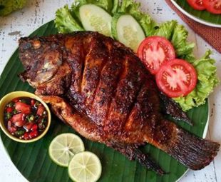 Ikan Mujair Matang