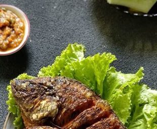 Nutrisi Ikan Mujair