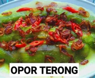 Cara Membuat Opor Terong Banjar
