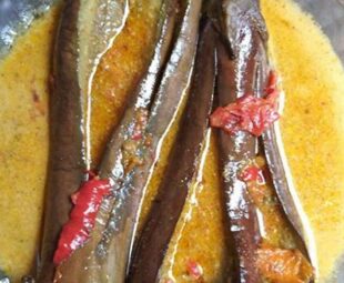 Penyajian Opor Terong Banjar